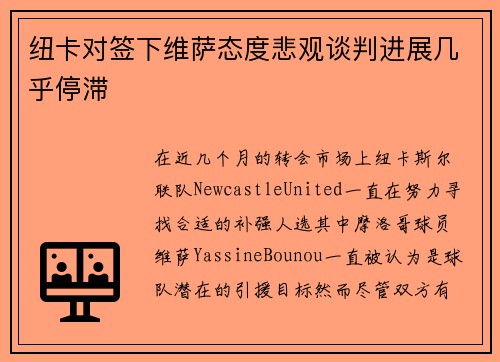 纽卡对签下维萨态度悲观谈判进展几乎停滞